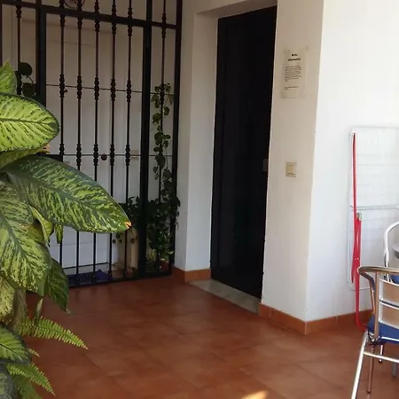 Oasis Apartment